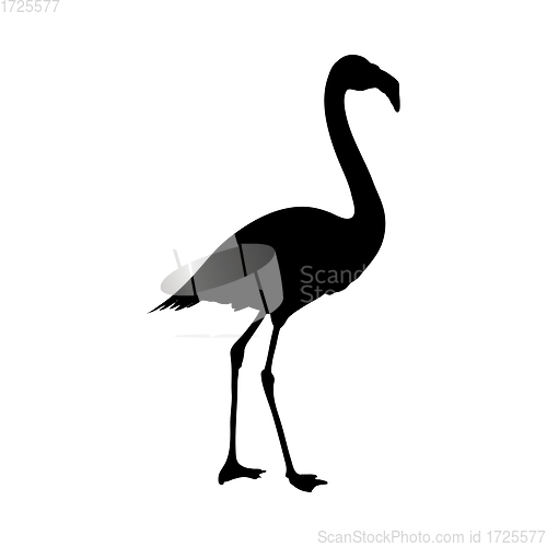 Image of Flamingo Silhouette