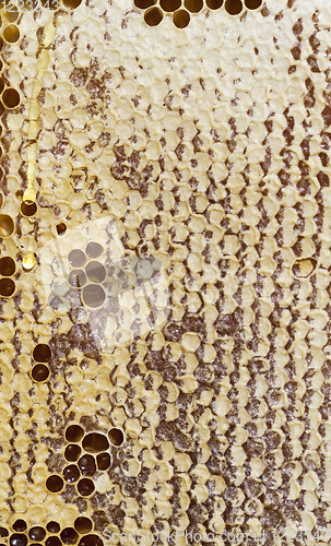 Image of hexagonal form honeycomb