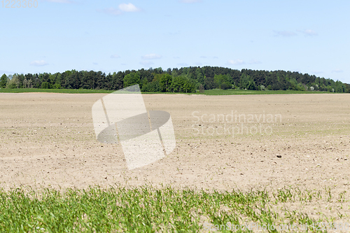 Image of plowed field