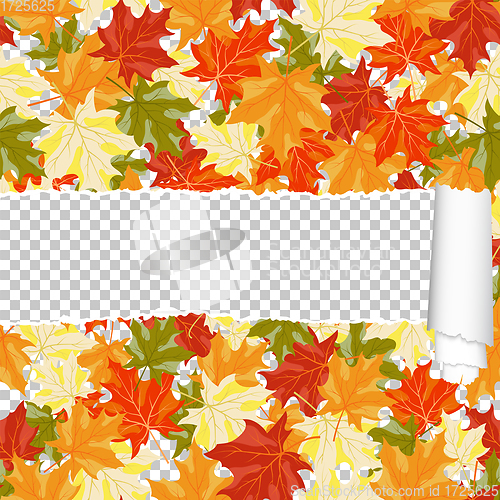 Image of Autumn maple seamless pattern with ripped stripe