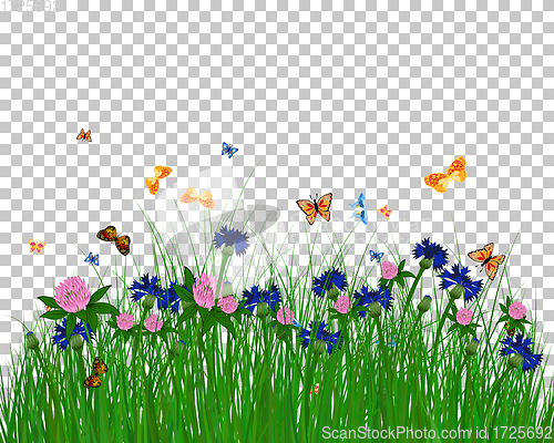 Image of Meadow color