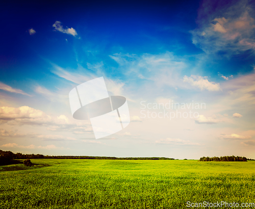 Image of Spring summer green field scenery lanscape