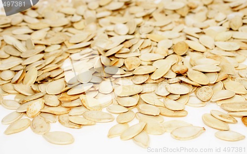Image of Seed of pumpkin
