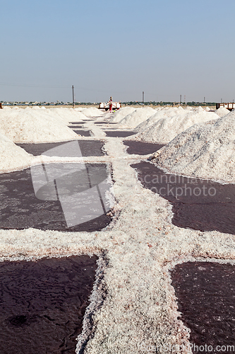 Image of Salt mine at Sambhar Lake, Sambhar, Rajasthan, India