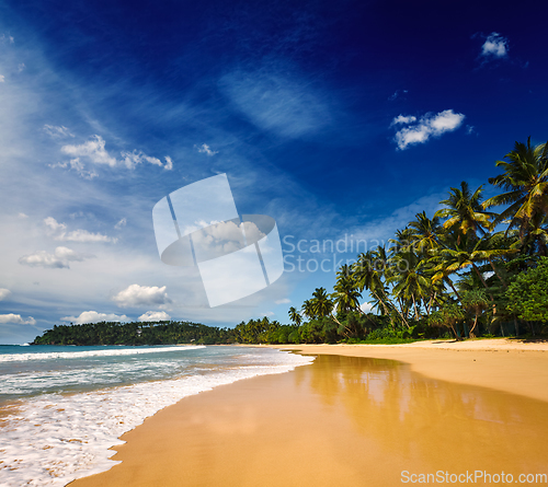 Image of Idyllic beach. Sri Lanka