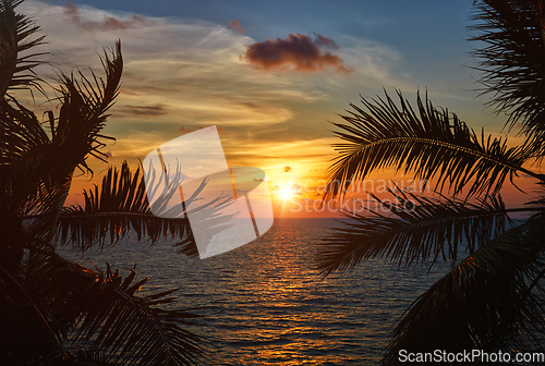 Image of Ocean sunset visible through palm leaves