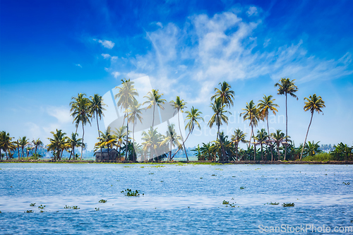 Image of Kerala backwaters