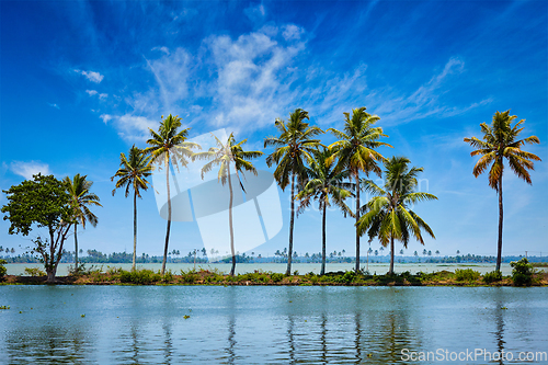 Image of Kerala backwaters