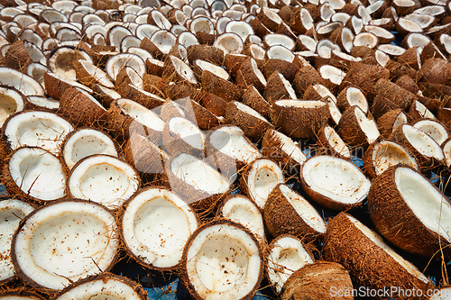 Image of Drying coconuts, Kerala, South India