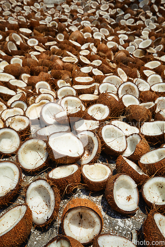 Image of Drying coconuts, Kerala, South India