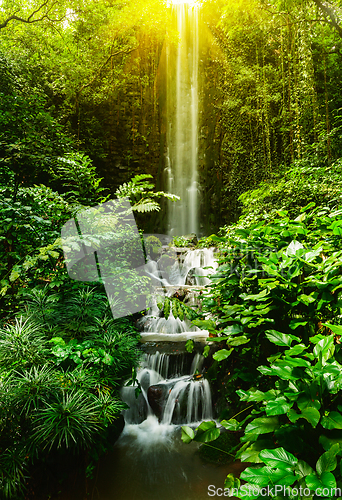 Image of Tropical waterfall