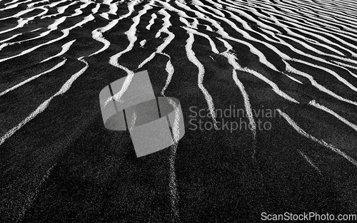 Image of Dune close up