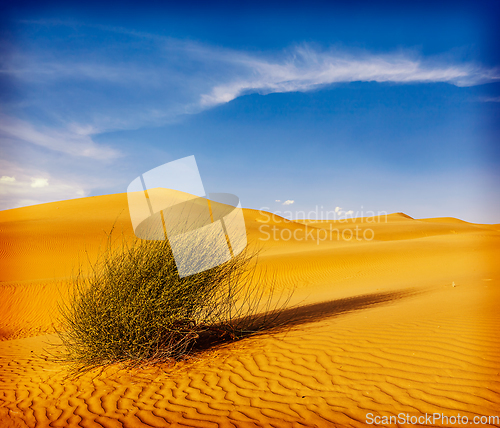 Image of Dunes of Thar Desert, Rajasthan, India