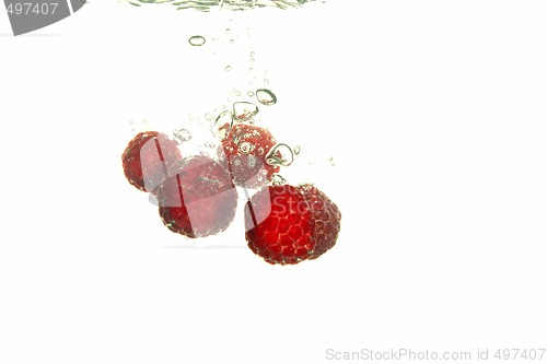 Image of Rspberry splashing