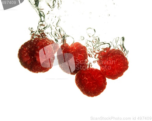 Image of Rspberry splashing