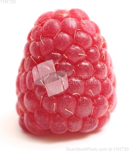 Image of ripe raspberry on white background close up