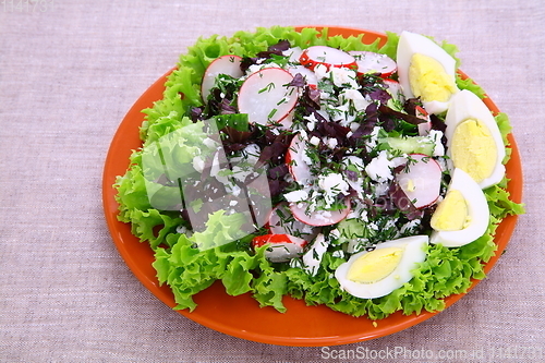 Image of Salad with a radish, eggs, fennel and cucumbers