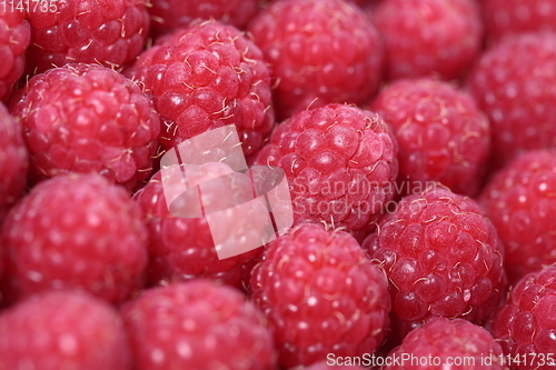 Image of Fresh and sweet raspberries background