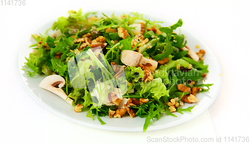 Image of The salad with nuts, champignons and herbs