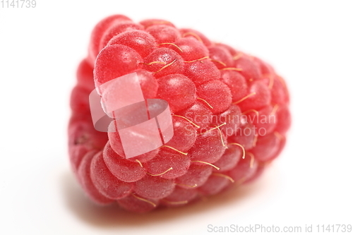 Image of ripe raspberry on white background close up