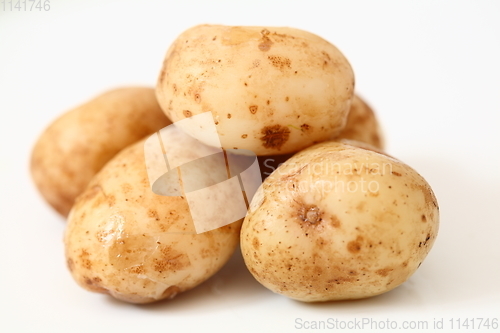 Image of A lot of raw potato on white background.