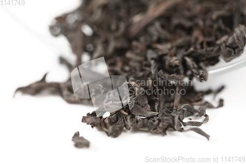 Image of dry black tea leaves on white background. Shallow dof.