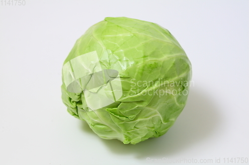 Image of Green cabbage on white background. Top view