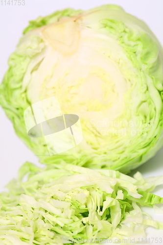 Image of Green cabbage on white background. Top view