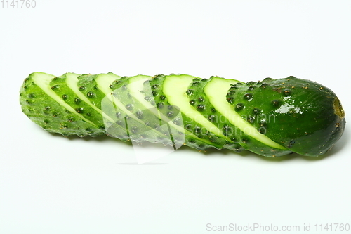 Image of Cucumber and slices over white background