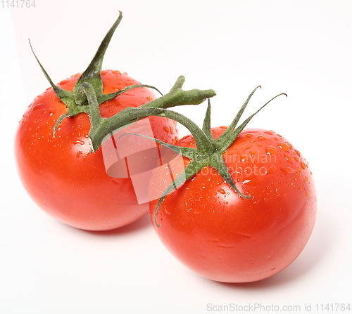 Image of Fresh organic tomatoes on white background. Top view