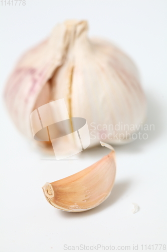 Image of Fresh garlic isolated on white background