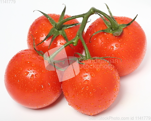 Image of Fresh organic tomatoes on white background. Top view