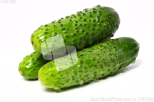 Image of Three fresh organic cucumbers on white background
