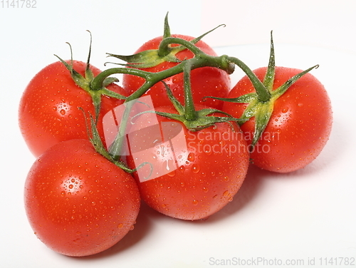 Image of Fresh organic tomatoes on white background. Top view