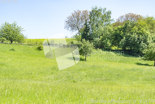 Image of idyllic spring time scenery