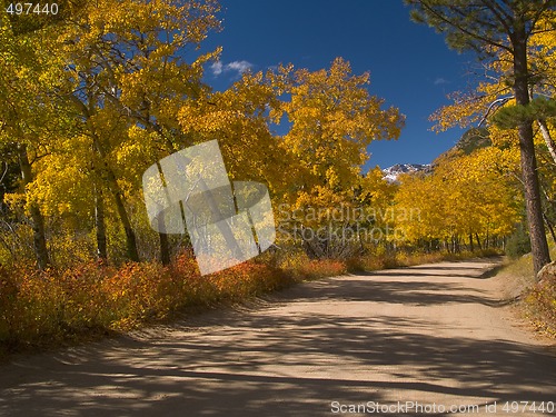 Image of Autumn Journey