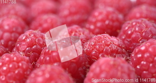 Image of Fresh and sweet raspberries background