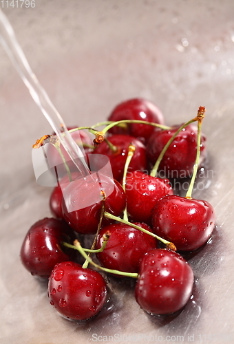 Image of Washing sweet cherries in metal kitchen sink under water jet close-up