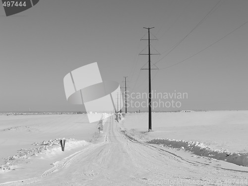 Image of Empty Rural Winter Road