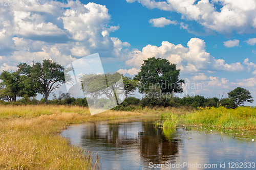 Image of Namibia, typical African landscape