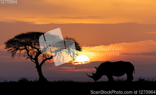 Image of Africa wildlife and wilderness concept