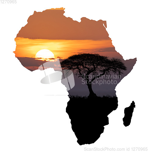 Image of Africa wildlife and wilderness concept