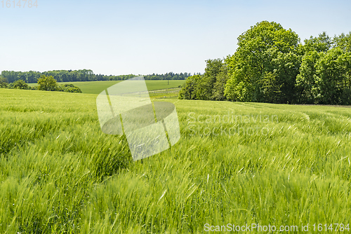 Image of rural springtime scenery