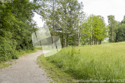 Image of idyllic park scenery