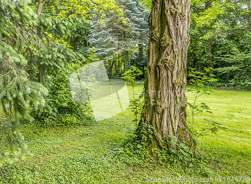 Image of idyllic park scenery