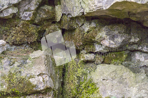 Image of mossy rock formation