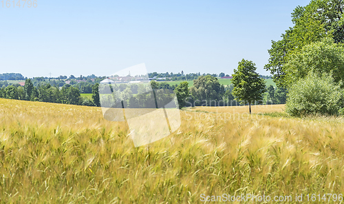 Image of rural scenery in Hohenlohe