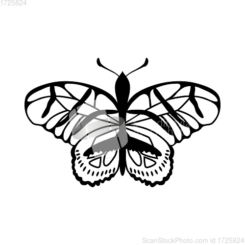 Image of Sketch of Butterfly