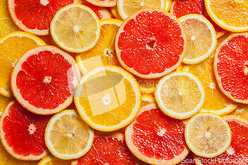 Image of Colorful citrus fruit slices