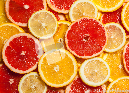 Image of Colorful citrus fruit slices